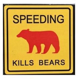 Meet your Posher, Pamela